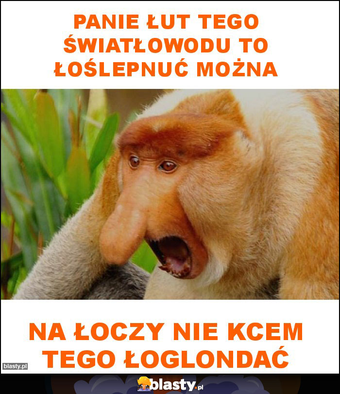 Panie łut tego światłowodu to łoślepnuć można