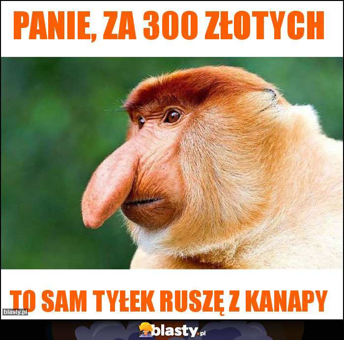 Panie, za 300 złotych