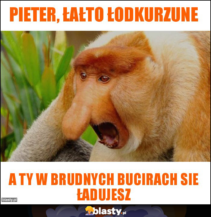 Pieter, łałto łodkurzune