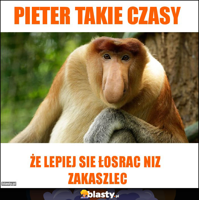 Pieter takie czasy