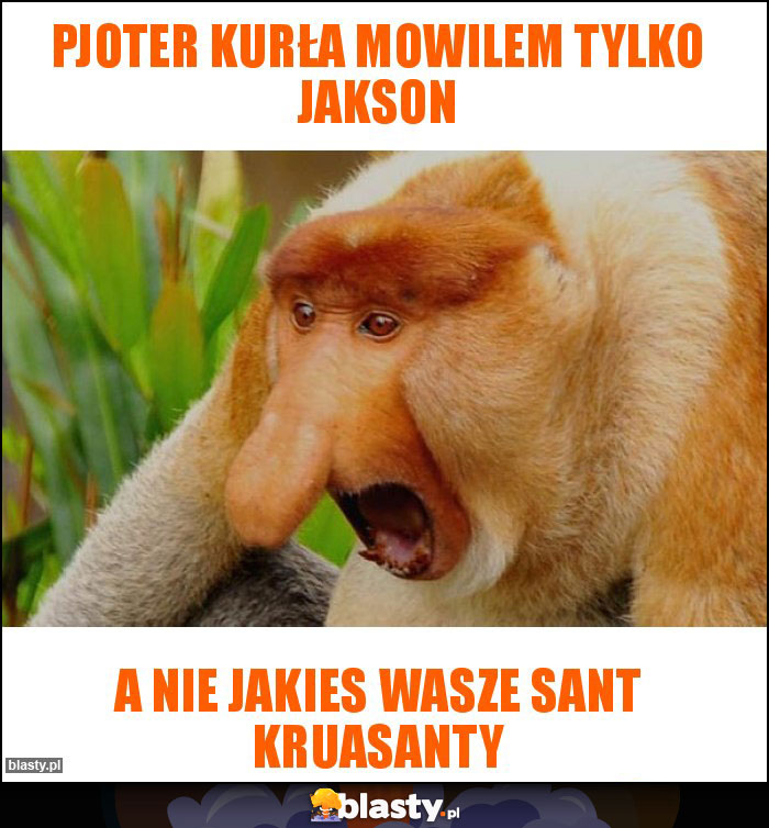 Pjoter Kurła Mowilem Tylko Jakson