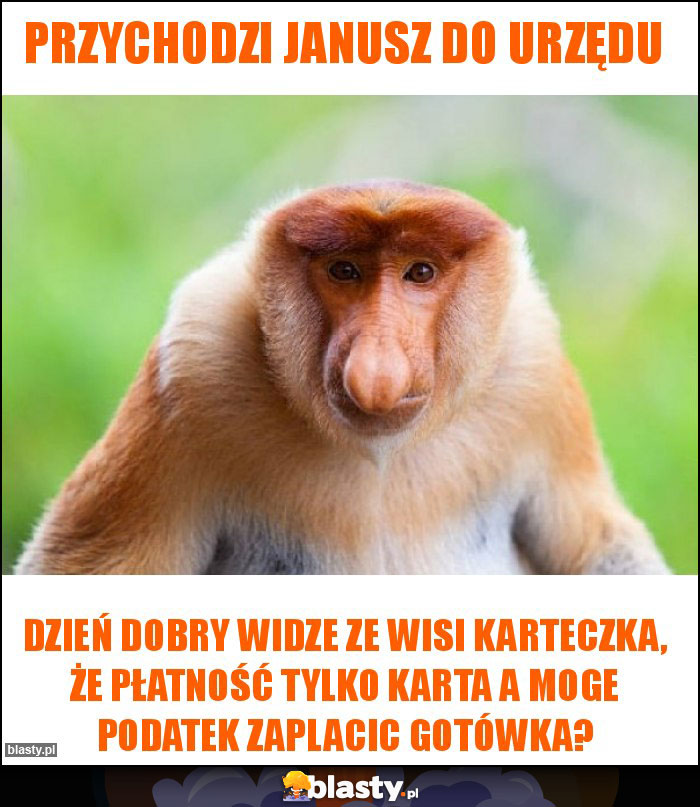 Przychodzi Janusz do urzędu