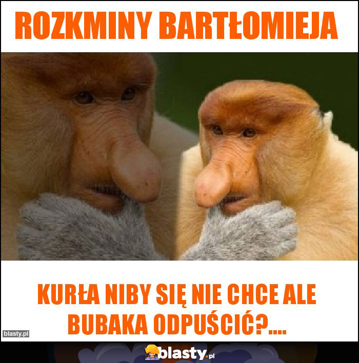 Rozkminy Bartłomieja