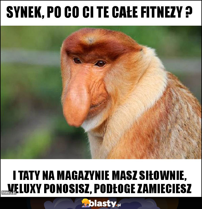 Synek, po co Ci te całe fitnezy ?