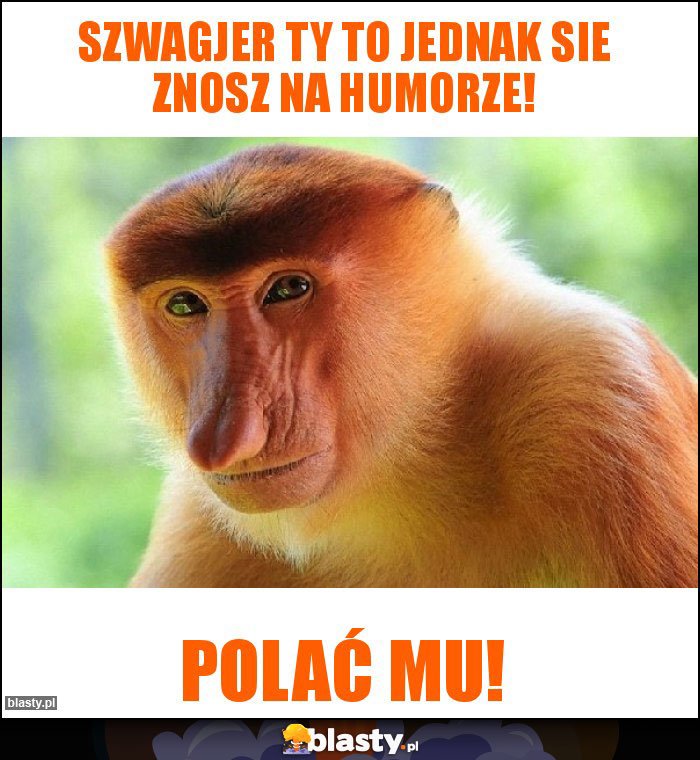 Szwagjer Ty to jednak sie znosz na humorze!