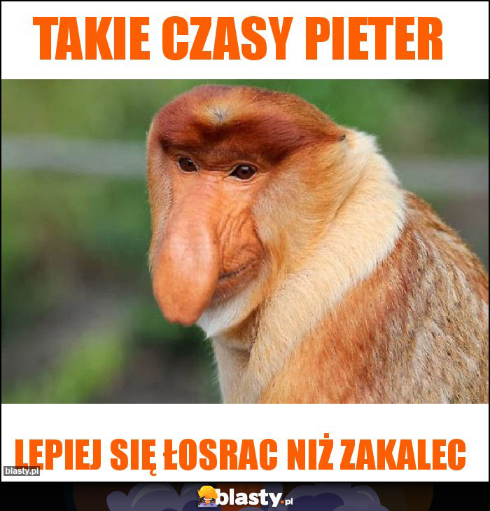 Takie czasy Pieter