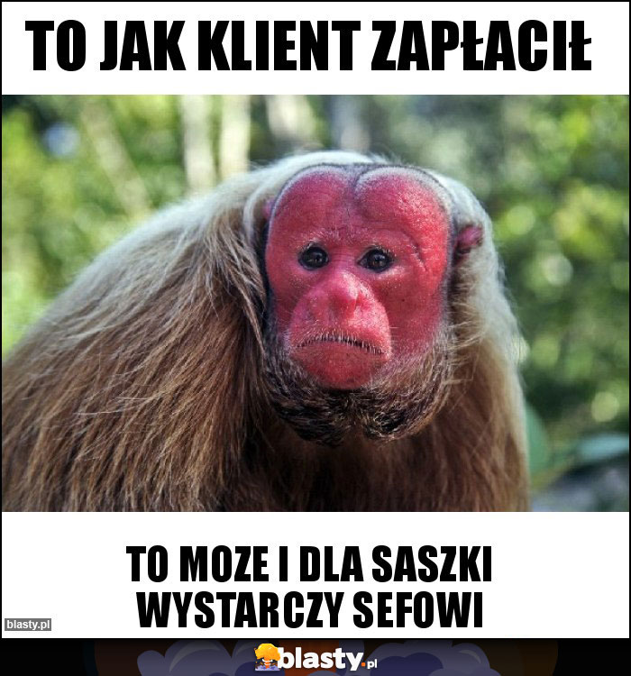 To jak klient zapłacił