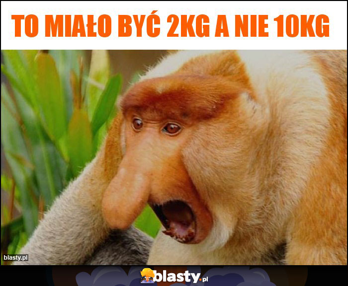 To miało być 2kg a nie 10kG