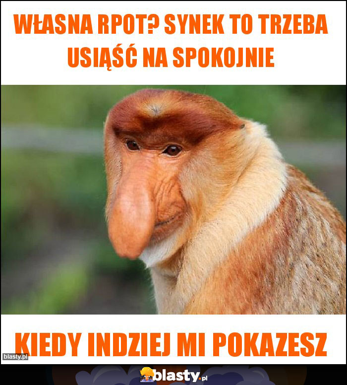 Własna RPOT? Synek to trzeba usiąść na spokojnie