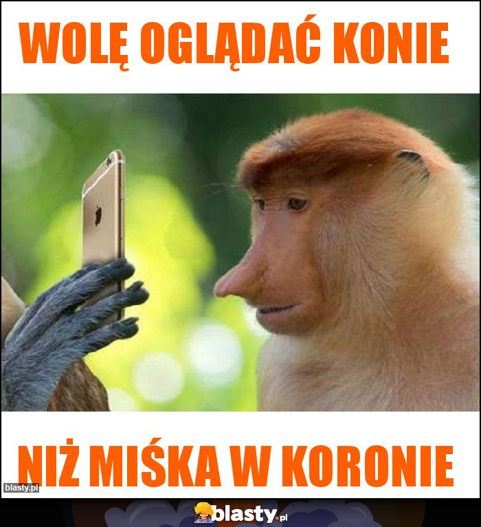 Wolę oglądać konie