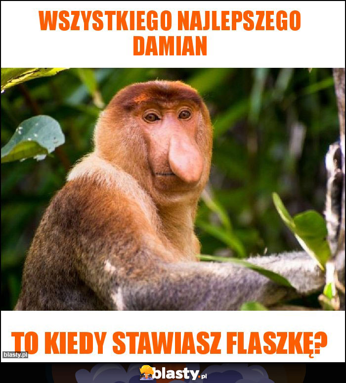 Wszystkiego najlepszego Damian