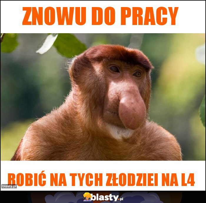 Znowu do pracy