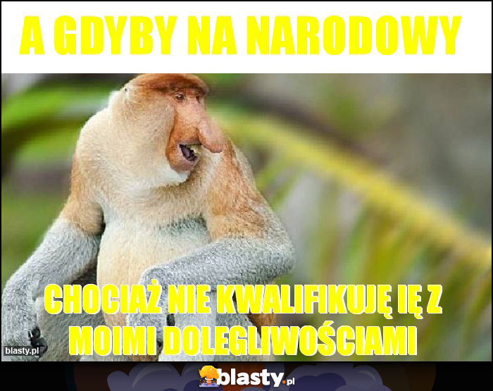 A gdyby na Narodowy