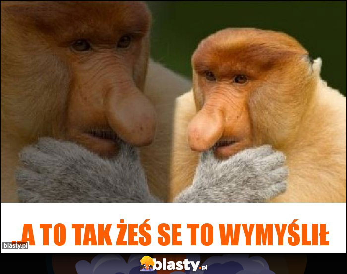 ..a to tak żeś se to wymyślił