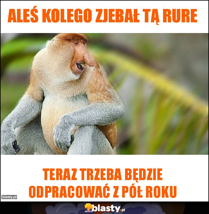 Aleś kolego zjebał tą rure