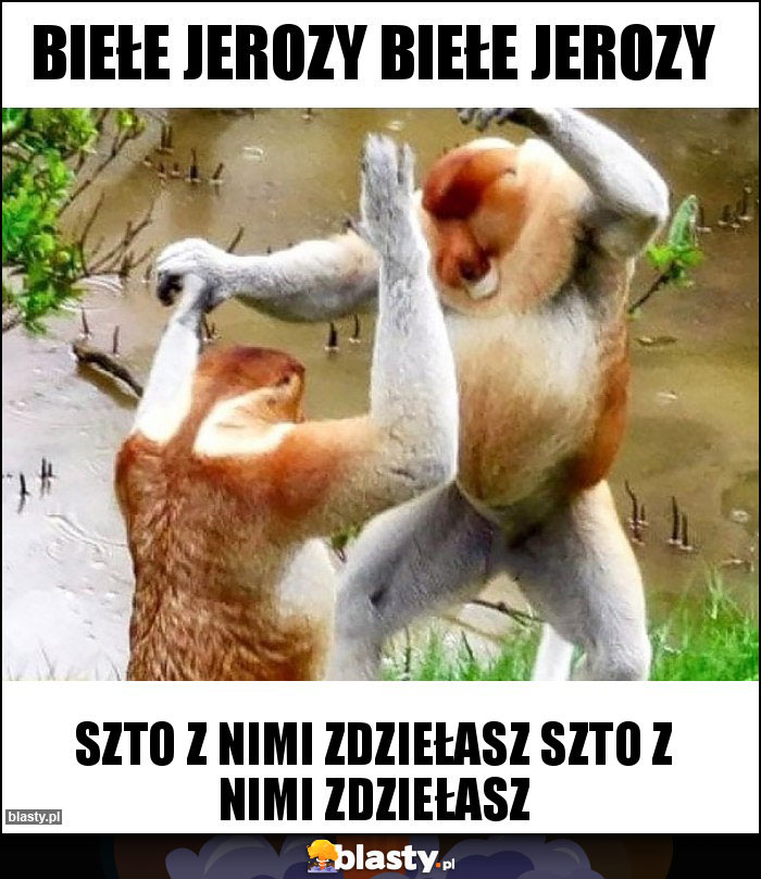 Biełe Jerozy biełe jerozy