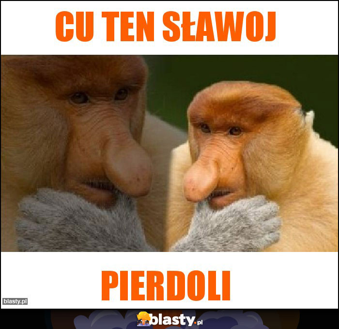 Cu ten sławoj