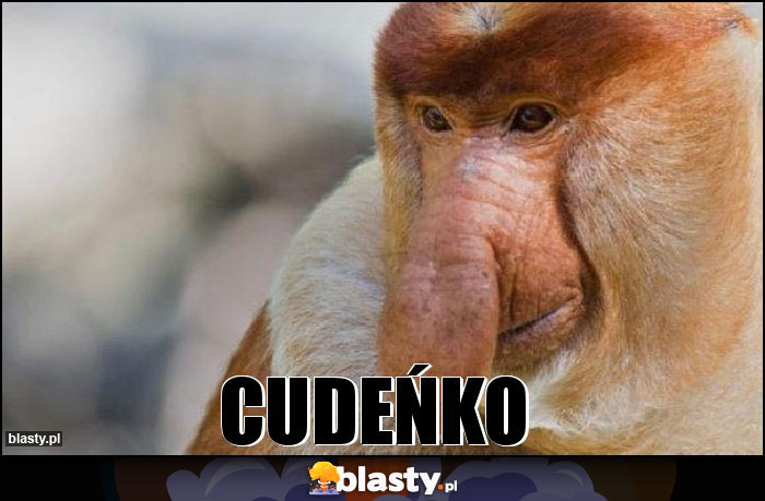 CUDEŃKO