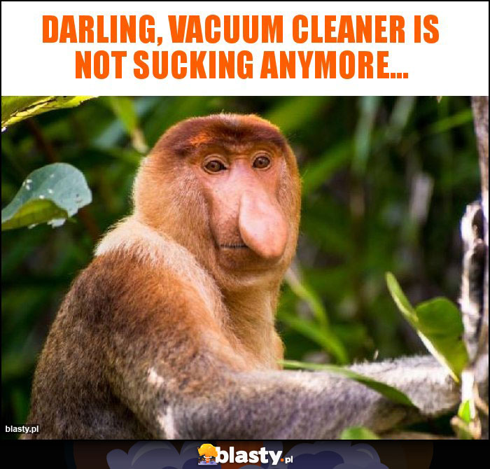 Darling, vacuum cleaner is not sucking anymore...