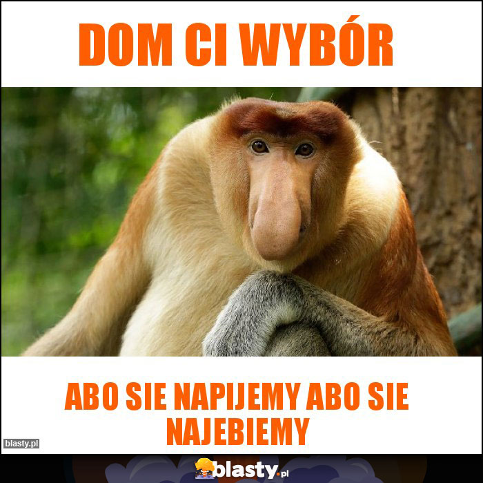 Dom ci wybór