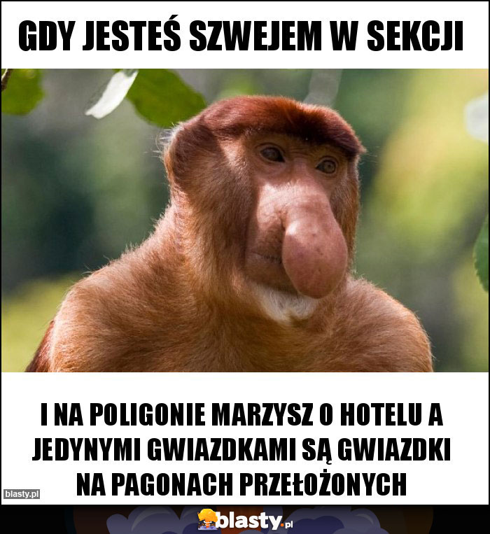 Gdy jesteś szwejem w sekcji