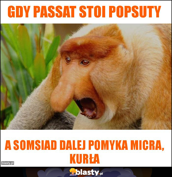 gdy passat stoi popsuty