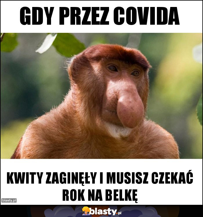 Gdy przez covida