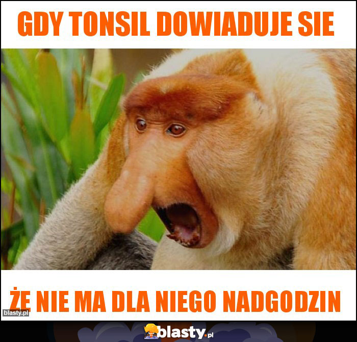 Gdy Tonsil dowiaduje sie