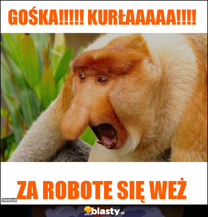 Gośka!!!!! Kurłaaaaa!!!!