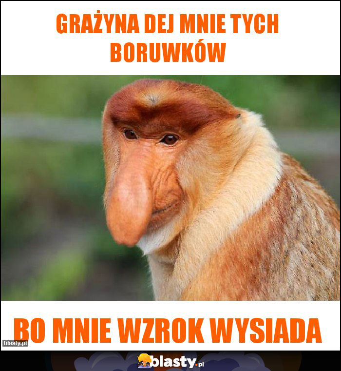 Grażyna dej mnie tych boruwków