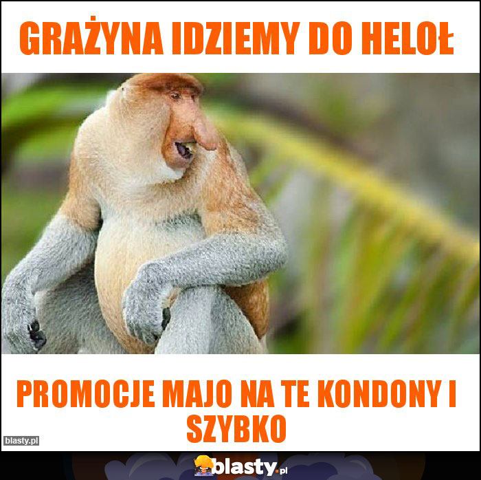 Grażyna idziemy do Heloł