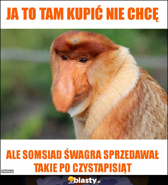 Ja to tam kupić nie chcę