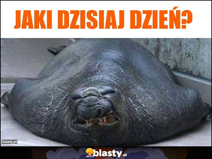 Jaki dzisiaj dzień?