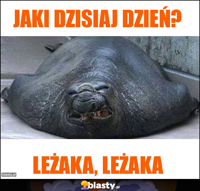 Jaki dzisiaj dzień?