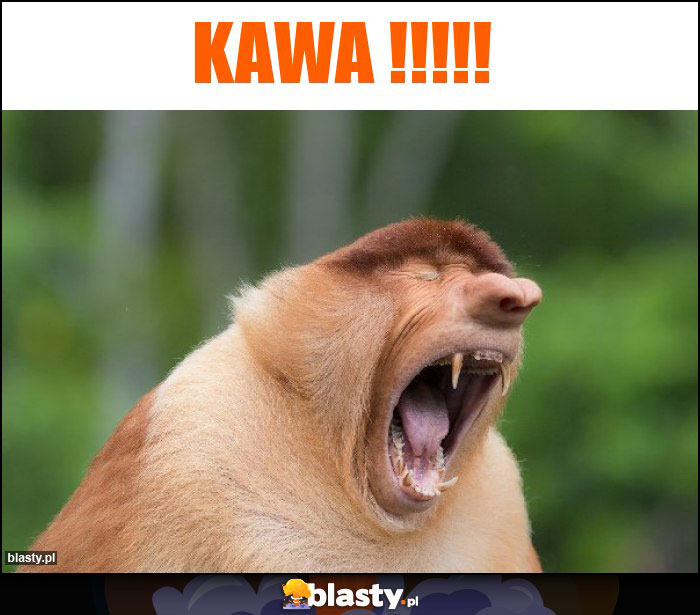 KAWA !!!!!