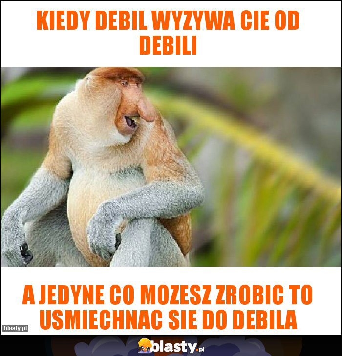 kiedy debil wyzywa cie od debili