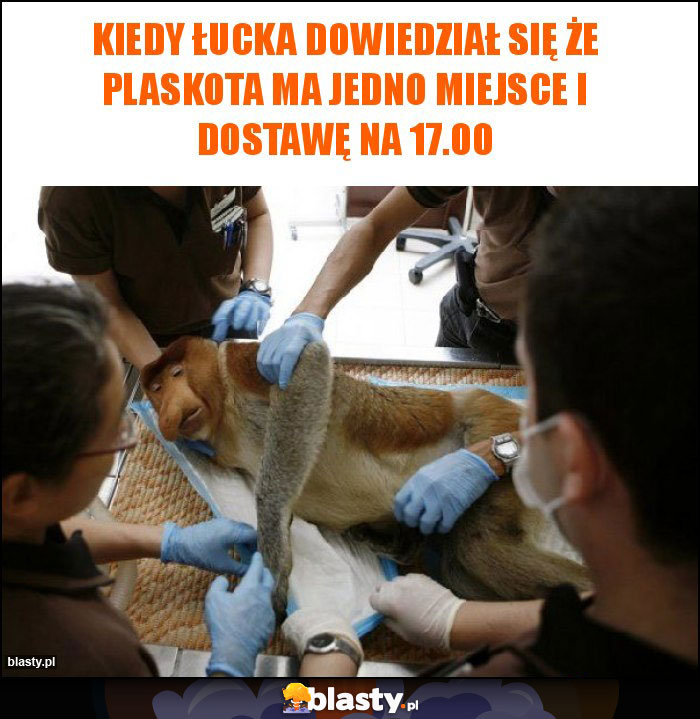 Kiedy Łucka dowiedział się że Plaskota ma jedno miejsce i dostawę na 17.00