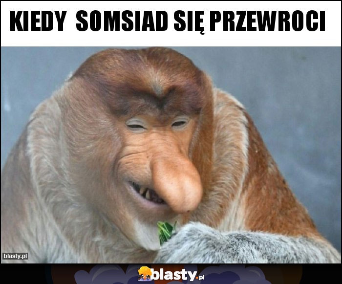 Kiedy  somsiad się przewroci