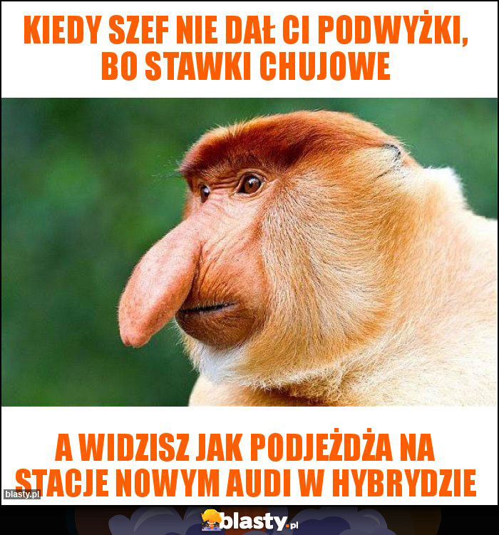 Kiedy szef nie dał Ci podwyżki, bo stawki chujowe