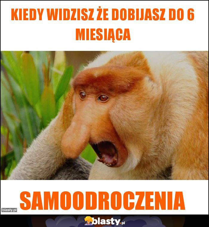 Kiedy widzisz że dobijasz do 6 miesiąca