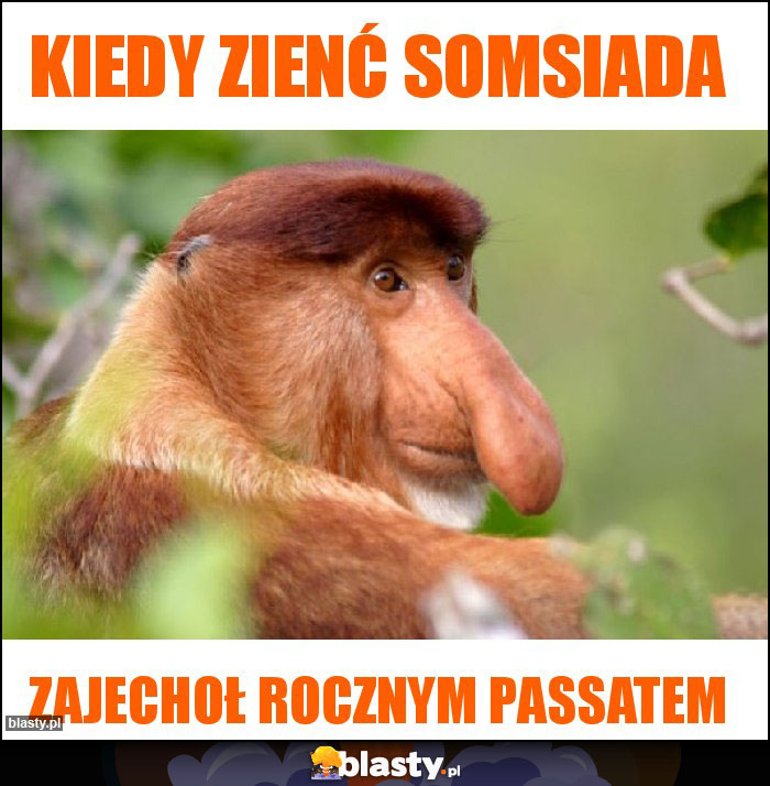 Kiedy zienć somsiada