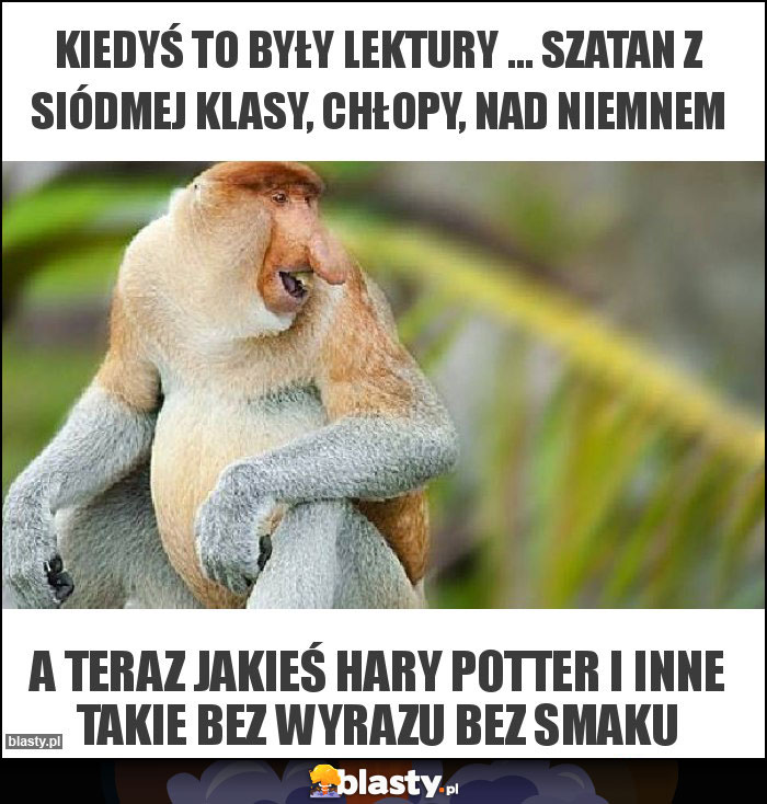 Kiedyś to były lektury ... Szatan z siódmej klasy, chłopy, nad Niemnem