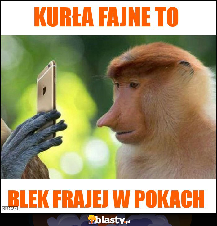 Kurła fajne to