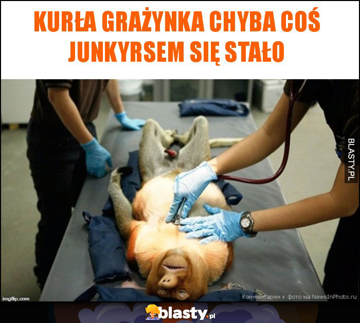 Kurła Grażynka chyba coś Junkyrsem się stało