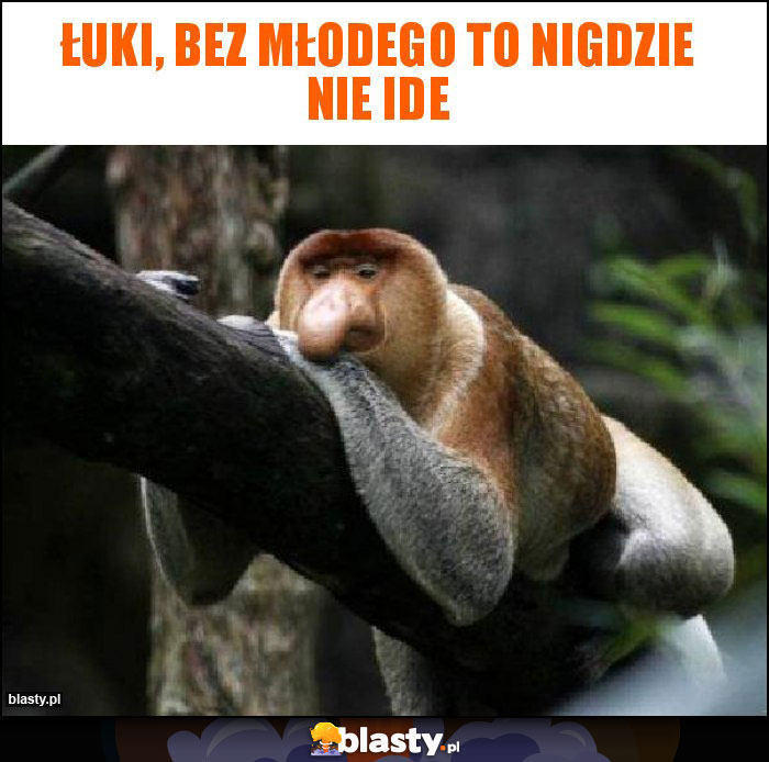 ŁUKI, BEZ MŁODEGO TO NIGDZIE NIE IDE