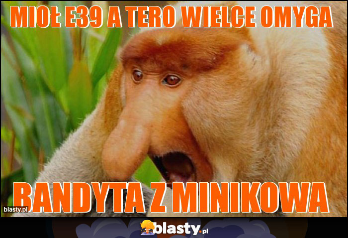 Mioł e39 a tero wielce Omyga