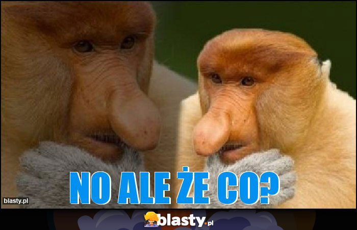 No ale że co?