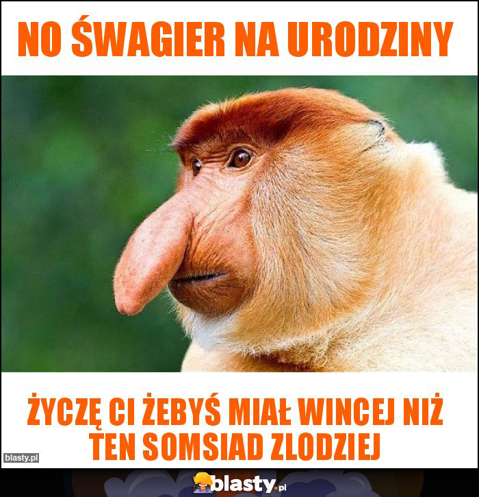 No śwagier na urodziny