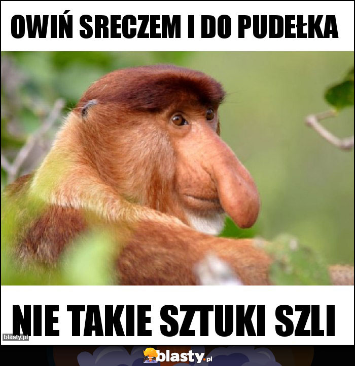 Owiń sreczem i do pudełka