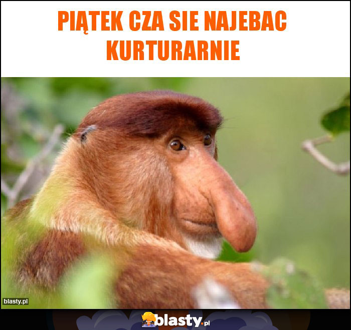 Piątek cza sie najebac kurturarnie